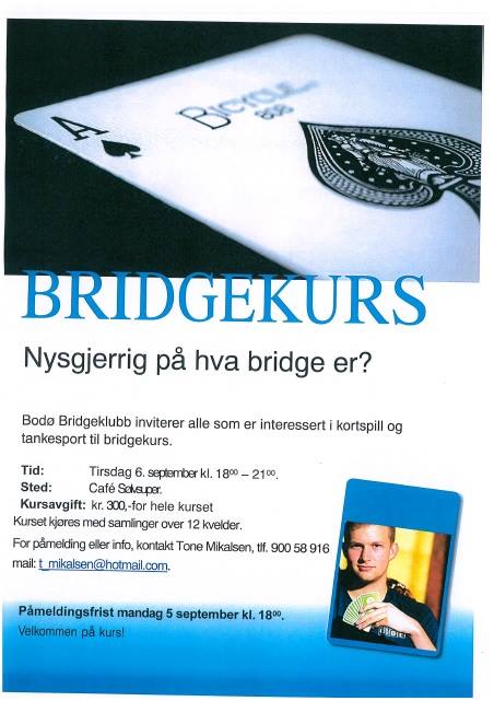 Bridgekurs